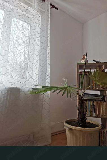 Casă cu 4 camere cu Teren 1400 Mp în Central