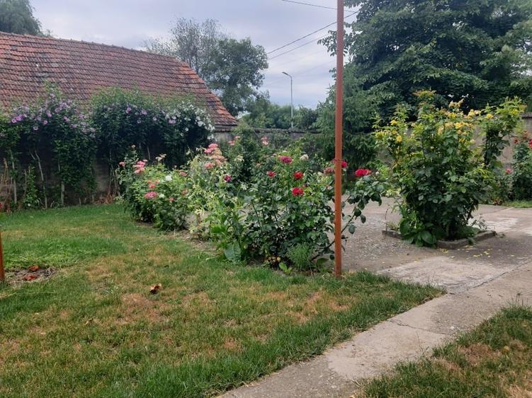 Casă individuală cu 4 camere cu Canalizare în Biled