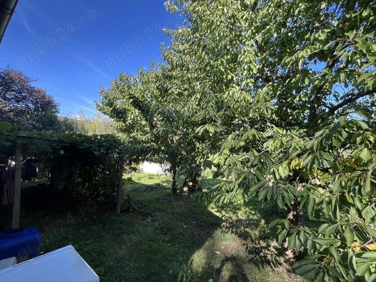 Casă cu 6 camere cu Teren 2000 Mp în Central