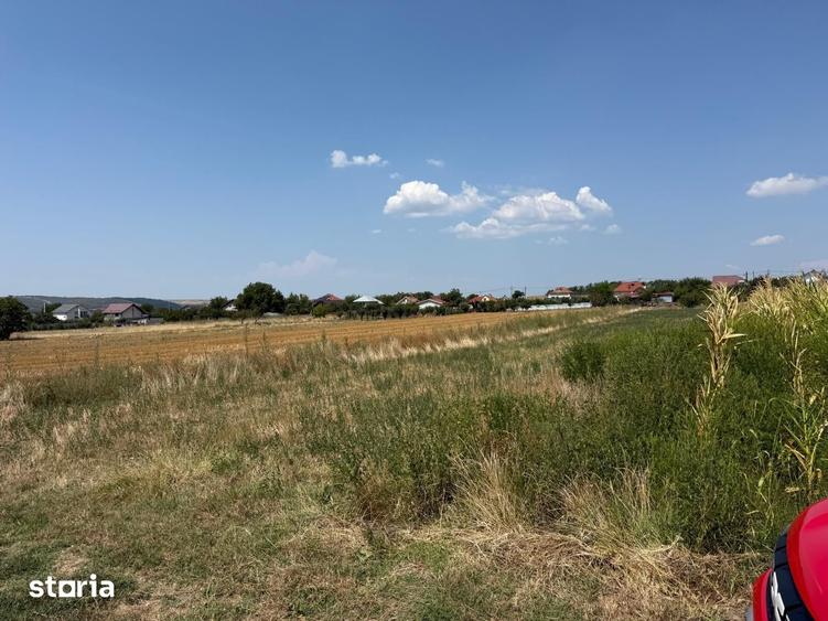 Teren de 1800 mp, în Șimnicu de Sus