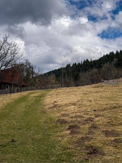Teren de 6250 mp, în Vidra