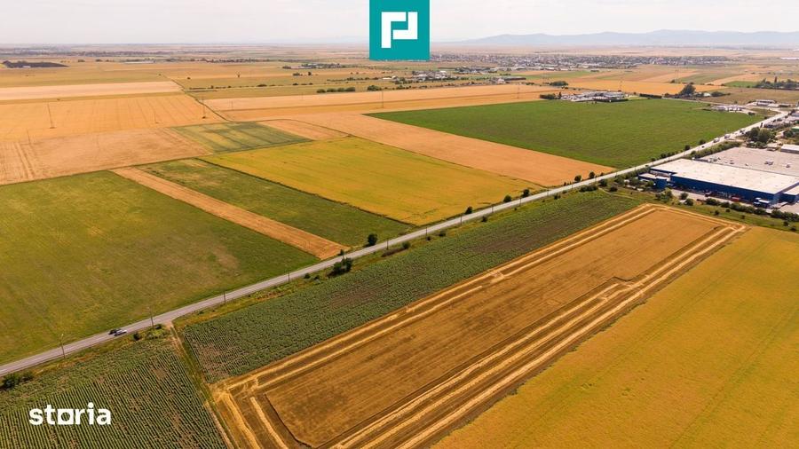 Teren de 31862 mp, în Grădiște