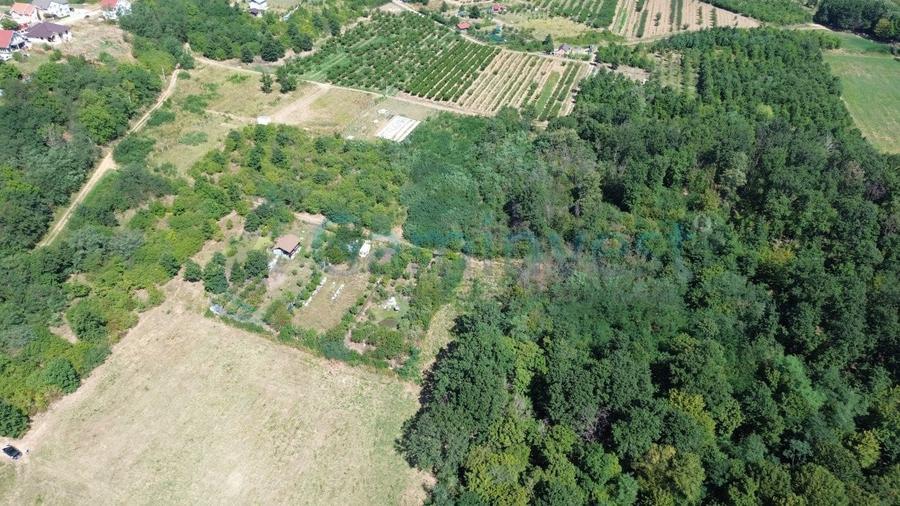 Teren Construcții intravilan de 1200 mp, în Paleu