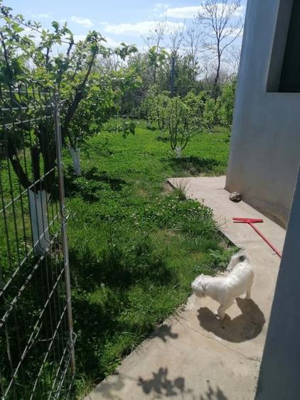 Casă cu 5 camere cu Teren 229 Mp în Periș