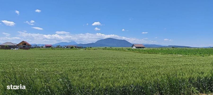 Spațiu comercial, în Hălchiu
