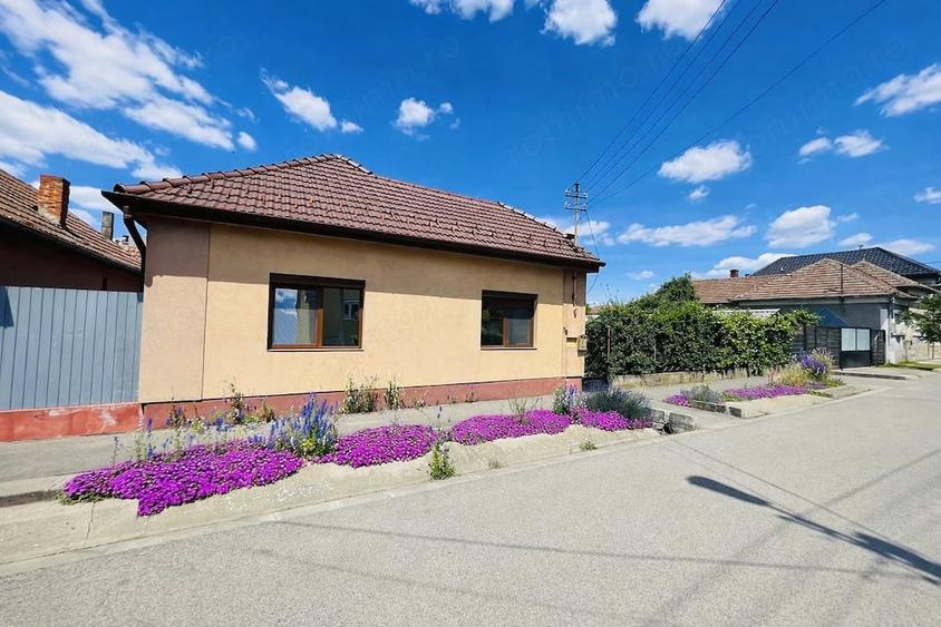 Casa + Teren 2.730 mp Oportunitate de Investi?ie, Nufarul - 4