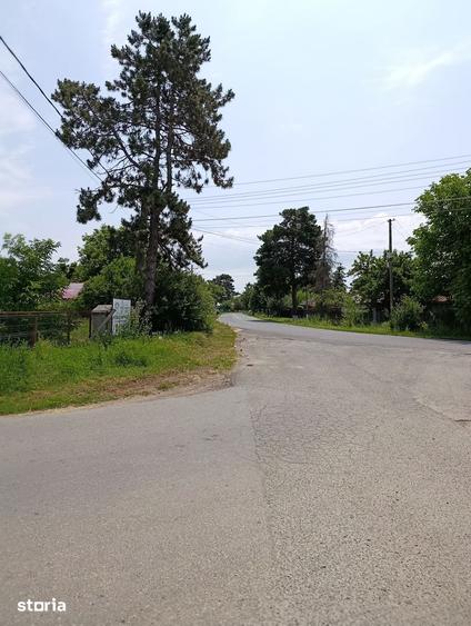Teren de 216967 mp, în Nuci