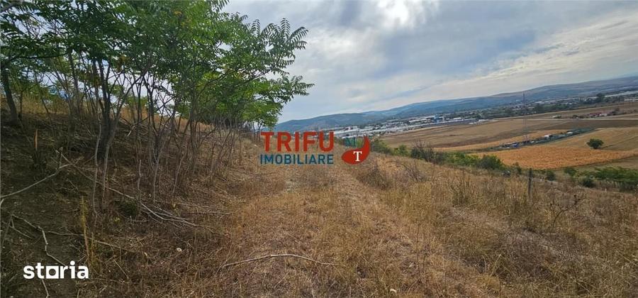Teren de 5000 mp, în Bărăbanț
