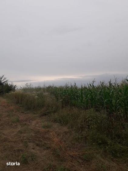 Vand teren Ciurbesti intre padure si case - 3