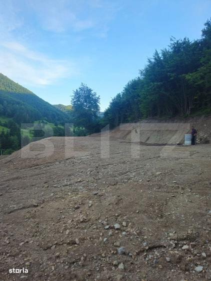 Teren de vanzare, 10.000 mp - Bistrita Bargaului, zona turistica - 8