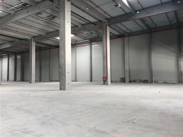 Spațiu industrial, de 5,750 mp, în Ciorogârla
