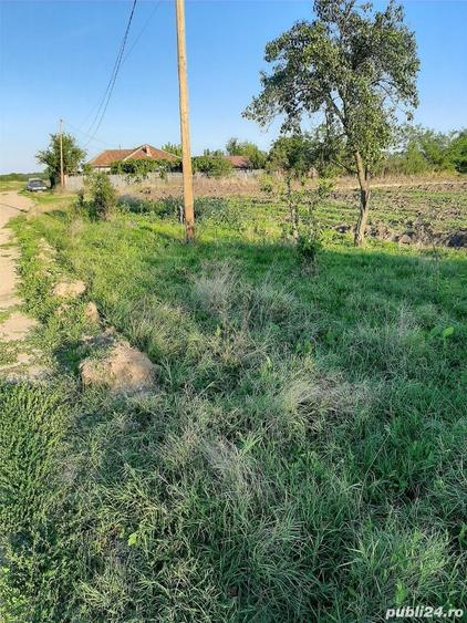 Teren în Calopăr