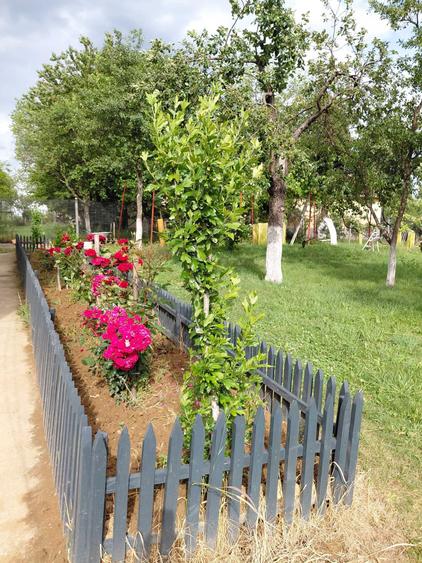 Casă cu 3 camere în Bălnaca