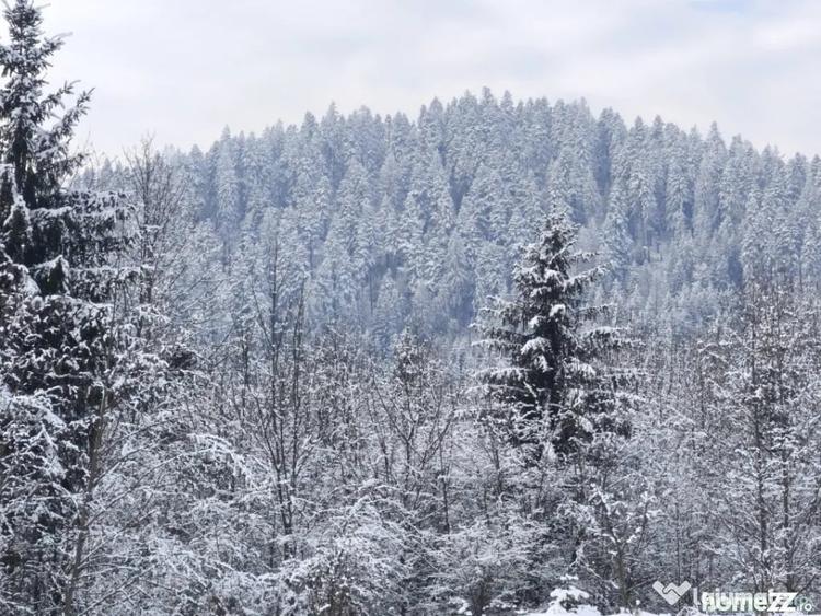 Teren de 22600 mp, în Sucevița