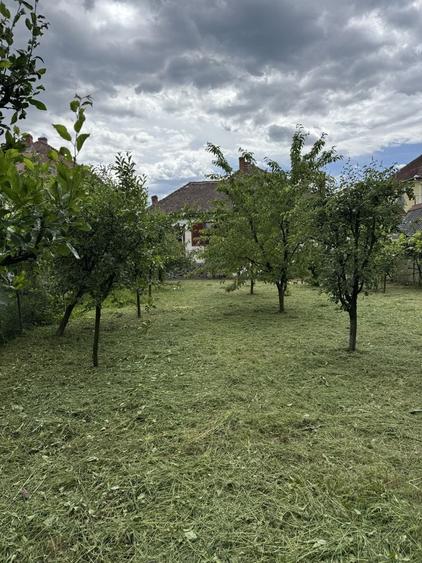 Casă cu 4 camere în Sub Arini