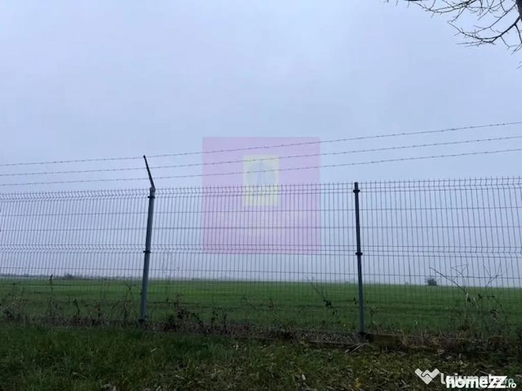 Teren de 13853 mp, în Domnești
