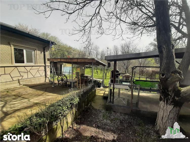 Teren 1274 mp cu livada si casa veche Primarie Bragadiru - 17