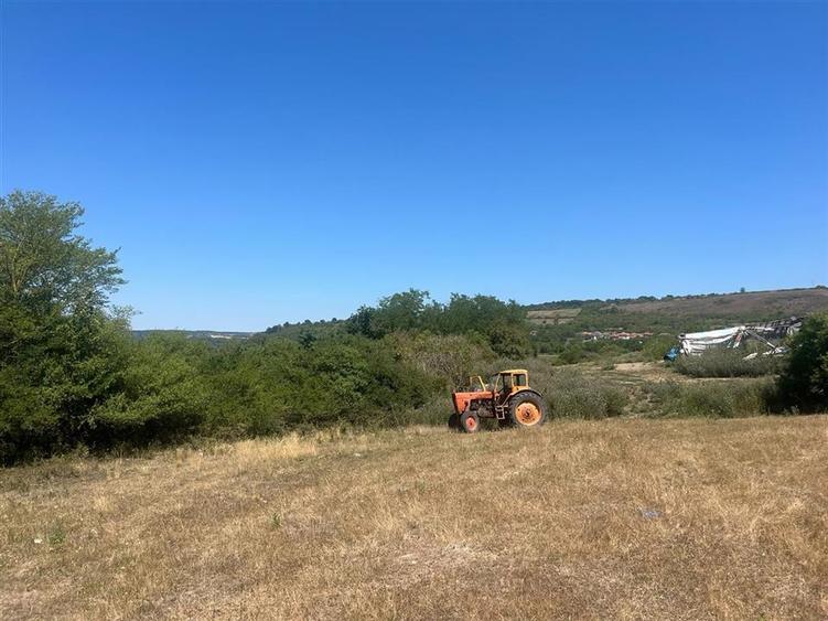 Teren agricol extravilan de 27400 mp, în Holod