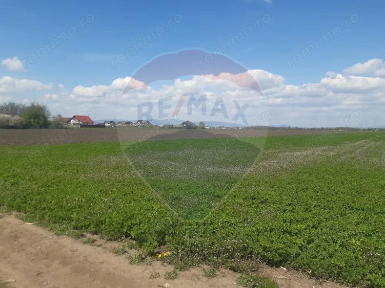 Teren de 5460 mp, în Stupini