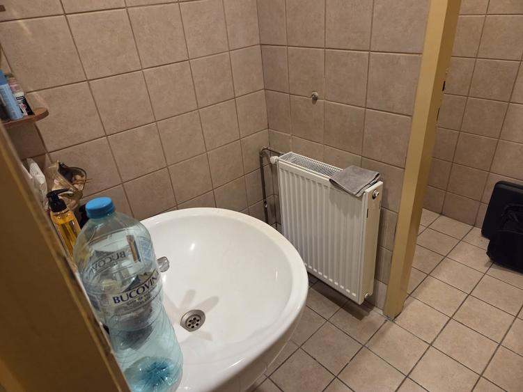 Spațiu comercial, de 255 mp, în Banu Manta