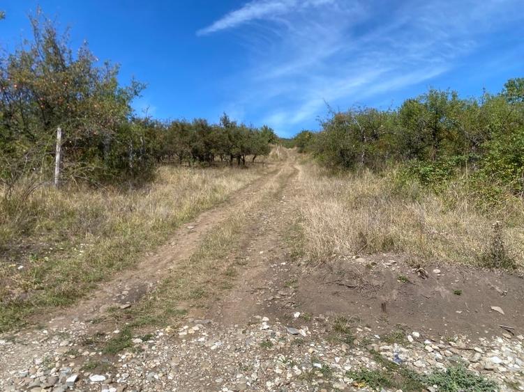 Teren extravilan de 2400 mp, în Est