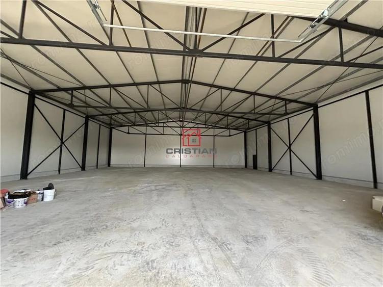 Spațiu comercial, în Theodor Pallady
