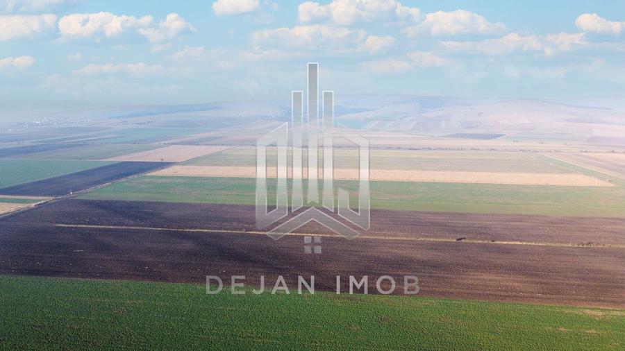 Teren agricol extravilan de 50000 mp, în Moacșa