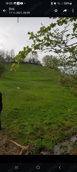 Teren de 18000 mp, în Sohodol