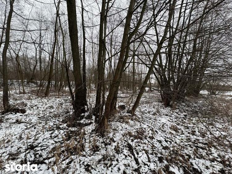 Teren de 2000 mp, în Polovragi