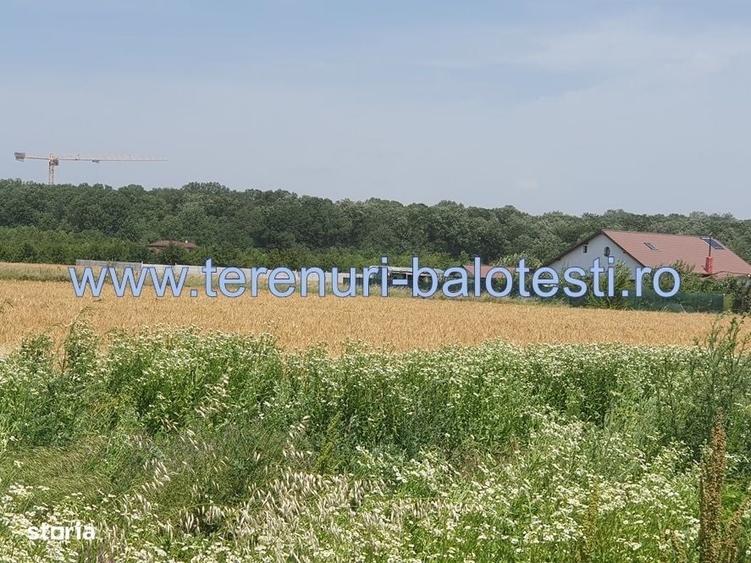 Spațiu comercial, în Balotești