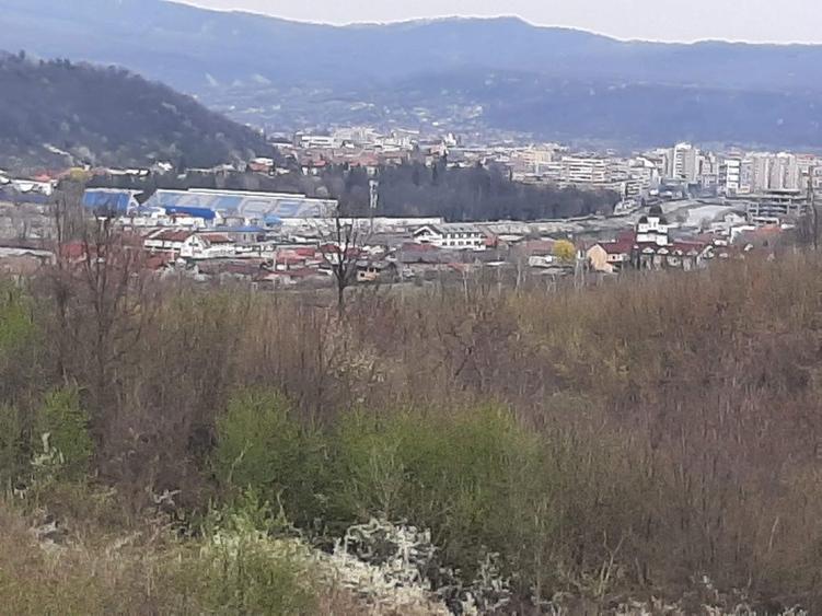 Spațiu comercial, în Aranghel