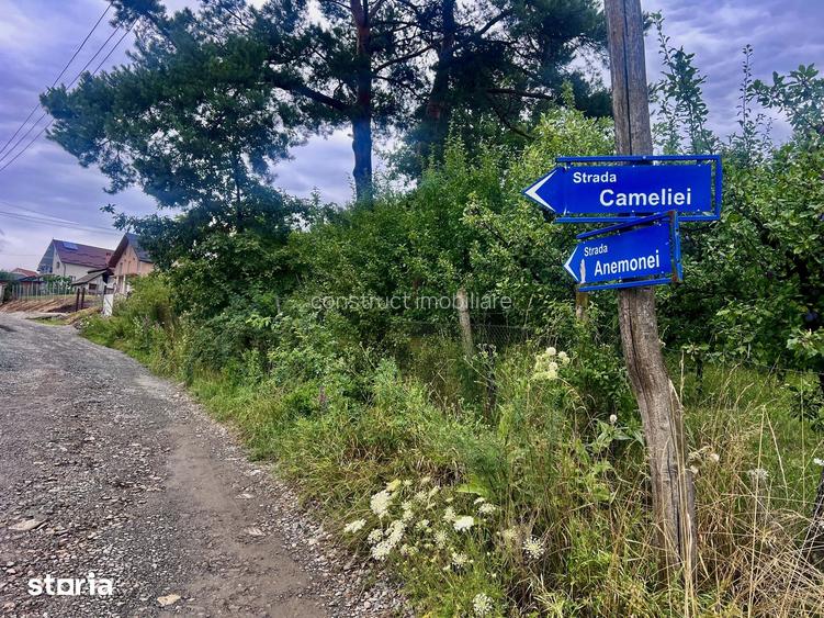 10 Ari intravilan strada Cameliei zona Leoni Tarpiului !