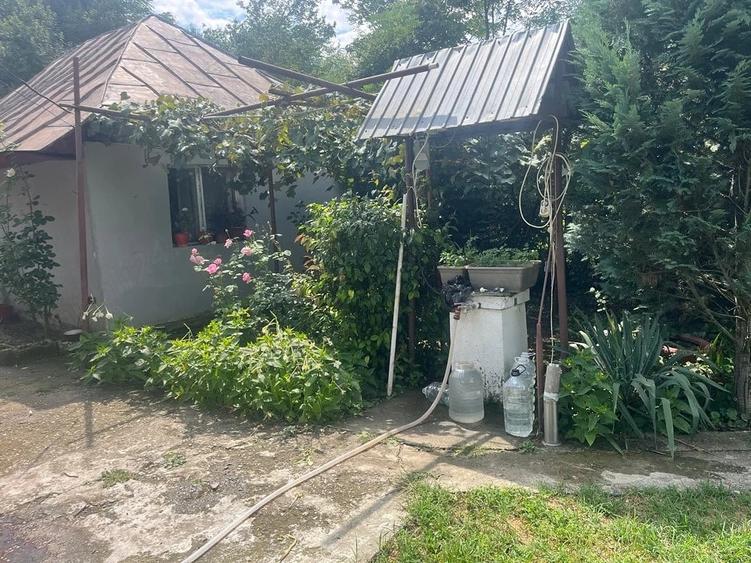 casa batraneasca 38km de bucuresti - 1