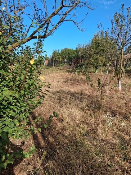 Teren Construcții intravilan de 750 mp, în Cocorăștii Mislii