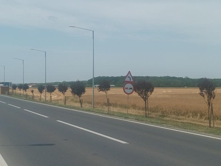 Teren Construcții intravilan de 21500 mp, în Brănești