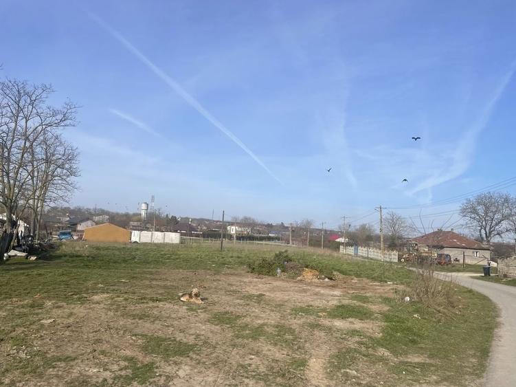 Teren de 1636 mp, în Amzacea