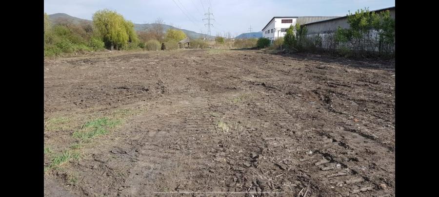 Teren Construcții intravilan de 6500 mp, în Sud
