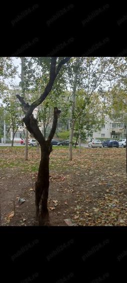 Garsonieră semidecomandată în Doamna Ghica