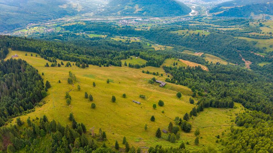 Teren de 170000 mp, în Vama