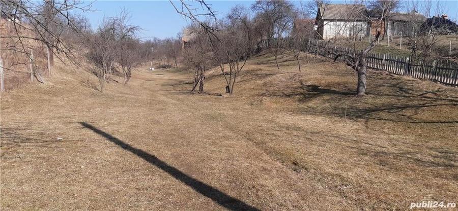 Teren în Pianu