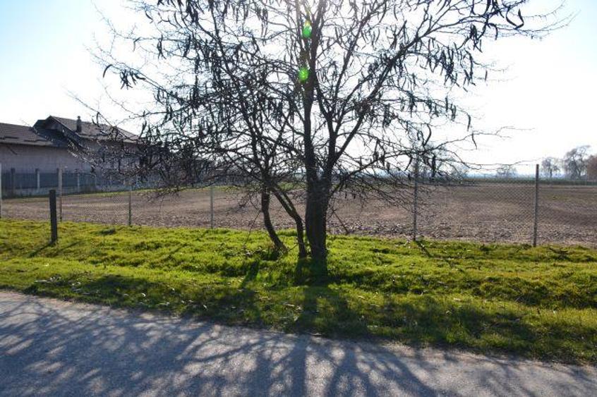 Teren intravilan de 5600 mp, în Mircea Vodă