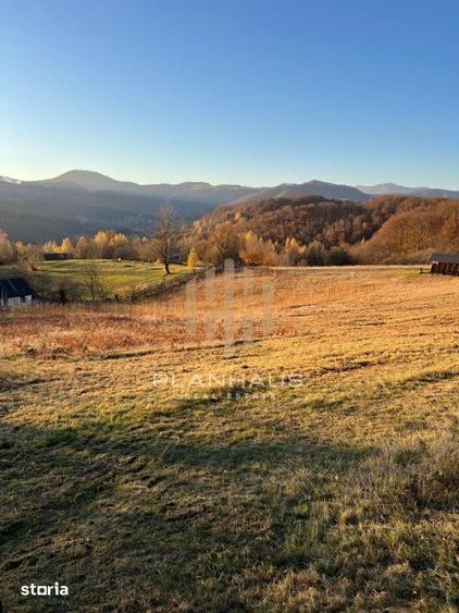 Teren de 10000 mp, în Firiza