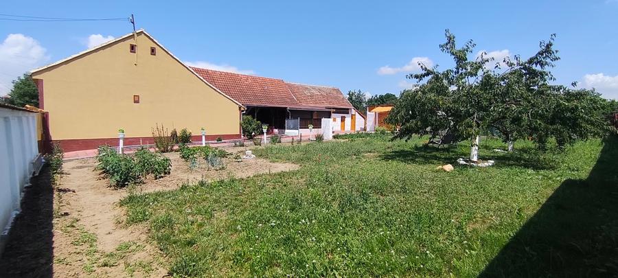 casa de venzare - 15