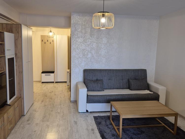 Persoana fizica inchiriez apartament 2 camere Tatarasi - Penta - 4