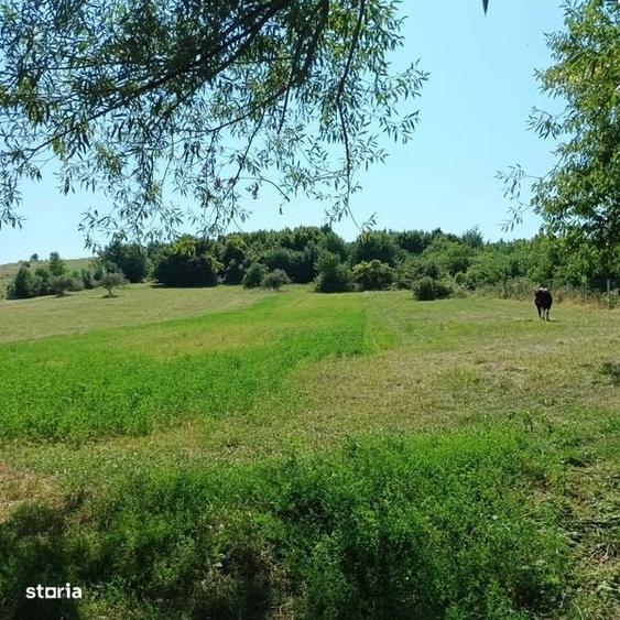 Teren de 7100 mp, în Girov