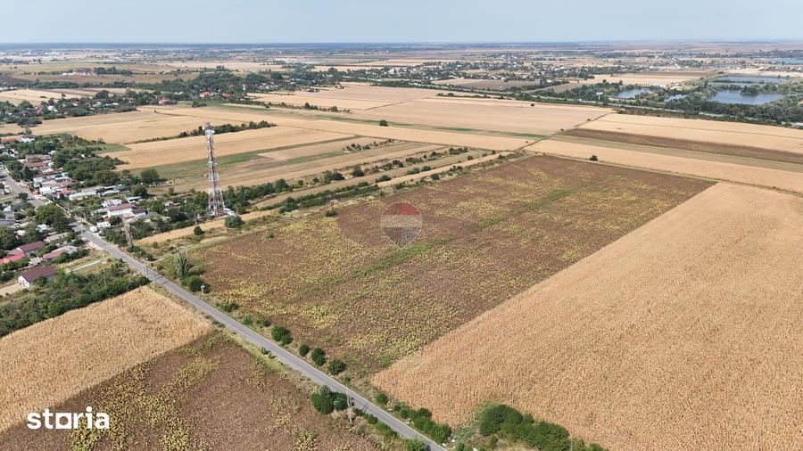 Teren de 8648 mp, în Ulmi