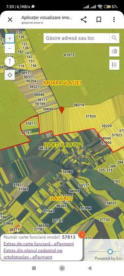 Teren extravilan Moara Vlasiei - 1