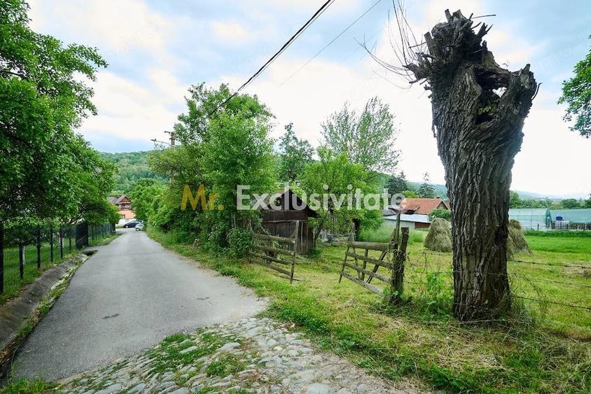Casă cu 3 camere cu Teren 4696 Mp în Central