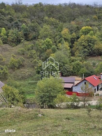 Teren de 5030 mp, în Meteș