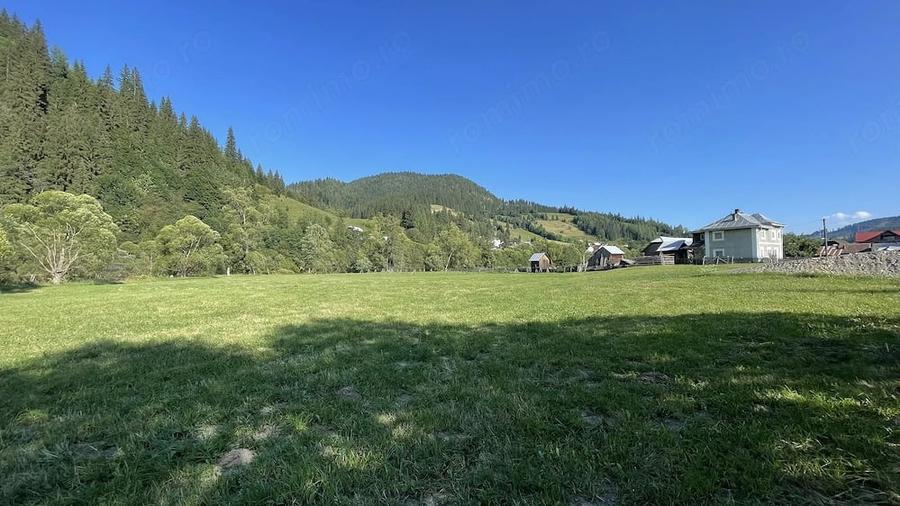 Teren de 5500 mp, în Ciocănești